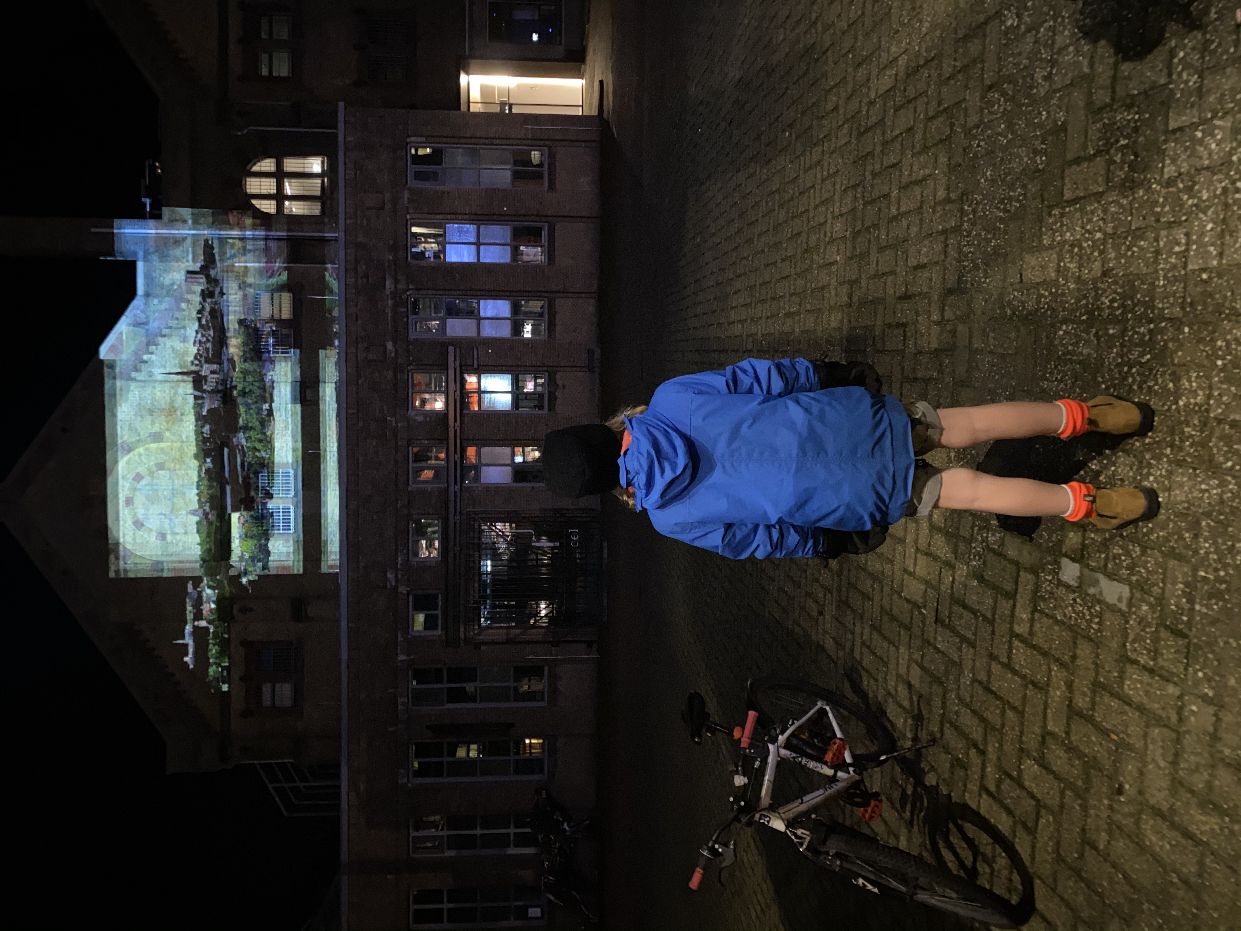 Public experiencing the projection at night